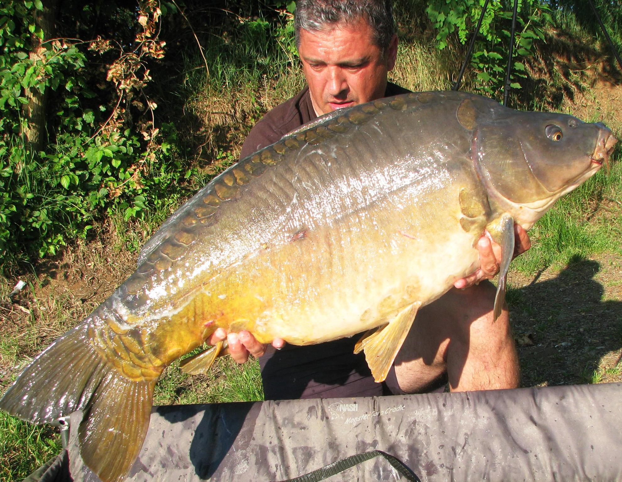 Pelagicevo Jezero  mai 2015 - img2144.JPG